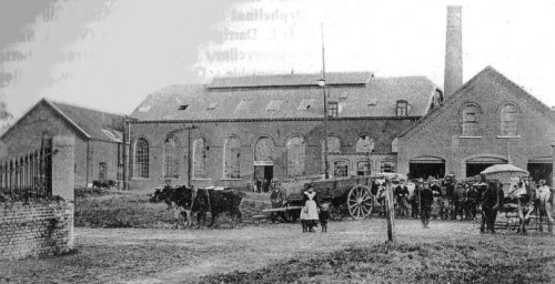 La sucrerie en 1896